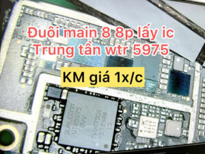 Main iPhone 8P các loại