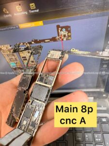 Main iPhone 8P các loại
