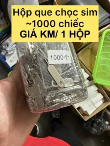 Hộp que chọc sim 1000 cái