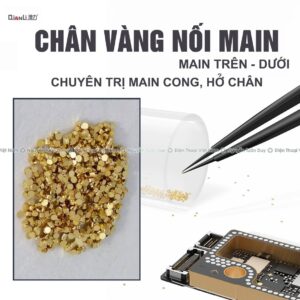 Chân vàng nối main trên dưới, chuyên trị main cong hở chân