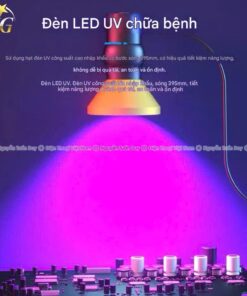 Đèn UV Lanrui XG-10 đèn công suất lớn