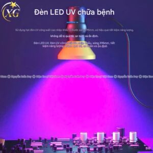 Đèn UV Lanrui XG-10 đèn công suất lớn