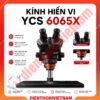 Kính hiển vi YCS 6065X Microscope 3 mắt, phóng đại 65X