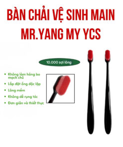 Bàn chải vệ sinh main Mr.Yang MY YCS