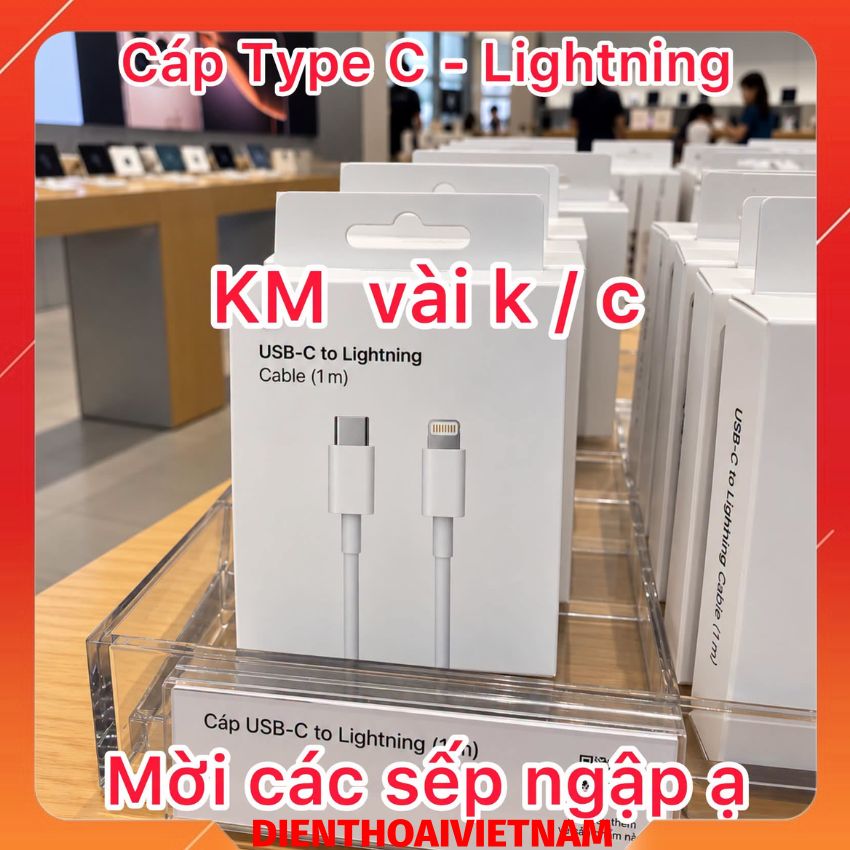Dây cáp sạc Type C to Lightning